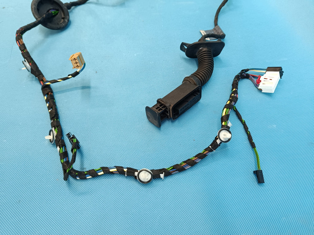 AUDI A4 B9 AVANT LIFT 2.0 TDI 120KW 2021R DOOR HARNESS RIGHT REAR 8W0959595N