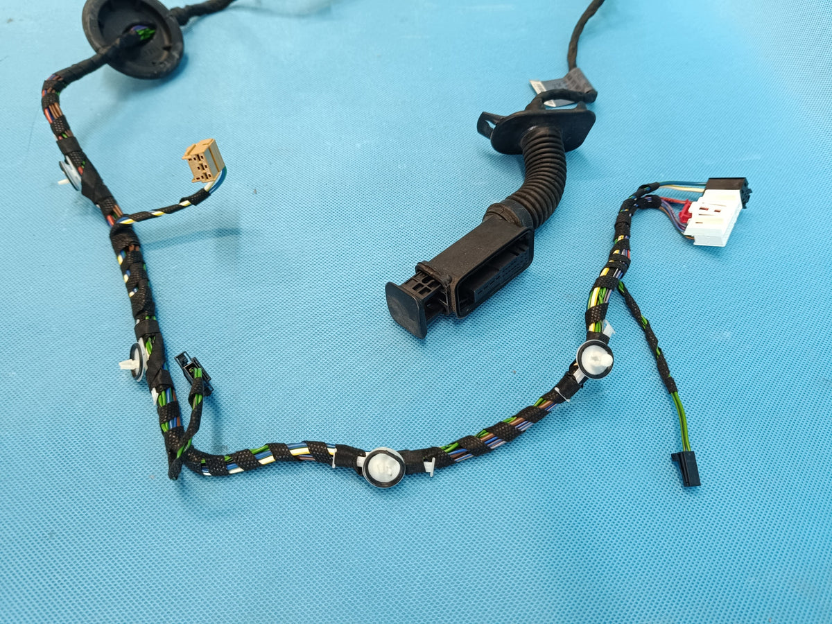 AUDI A4 B9 AVANT LIFT 2.0 TDI 120KW 2021R DOOR HARNESS RIGHT REAR 8W0959595N