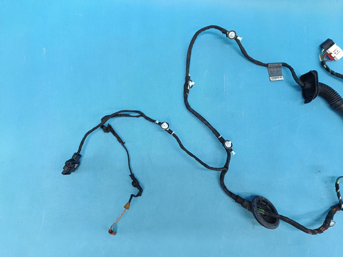 AUDI A4 B9 AVANT LIFT 2.0 TDI 120KW 2021R DOOR HARNESS RIGHT REAR 8W0959595N