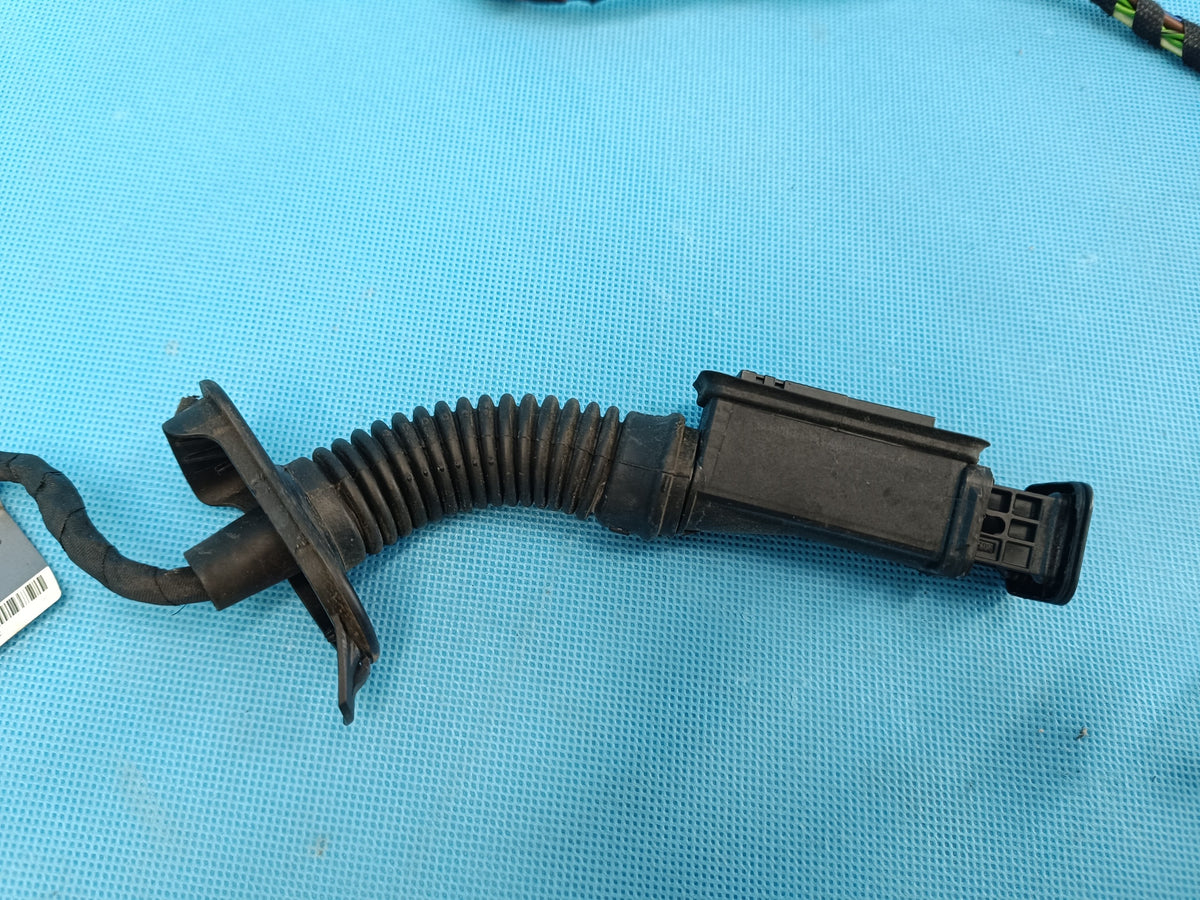 AUDI A4 B9 AVANT LIFT 2.0 TDI 120KW 2021R DOOR HARNESS RIGHT REAR 8W0959595N
