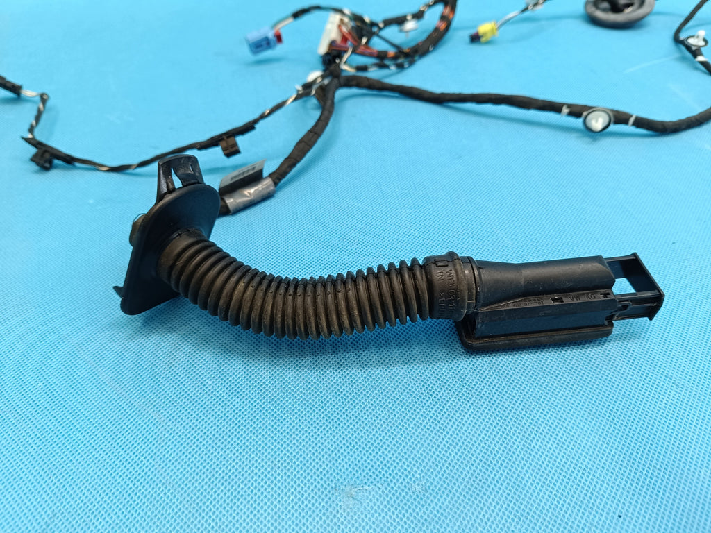 AUDI A4 B9 Sedan LIFT 2.0 TFSI 2023 R DOOR HARNESS RIGHT FRONT 8W0971030CS