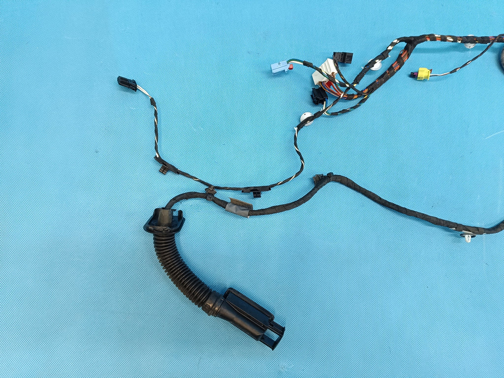 AUDI A4 B9 Sedan LIFT 2.0 TFSI 2023 R DOOR HARNESS RIGHT FRONT 8W0971030CS