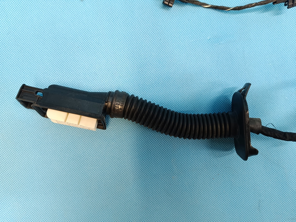 AUDI A4 B9 Sedan LIFT 2.0 TFSI 2023 R DOOR HARNESS RIGHT FRONT 8W0971030CS
