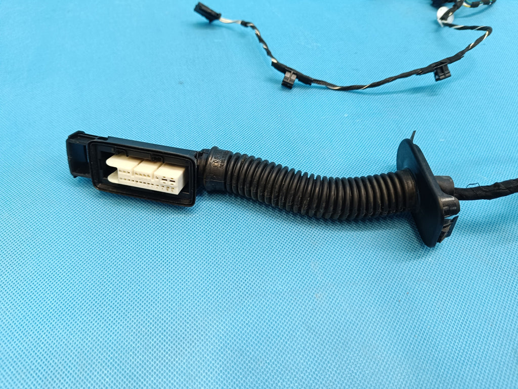 AUDI A4 B9 Sedan LIFT 2.0 TFSI 2023 R DOOR HARNESS RIGHT FRONT 8W0971030CS