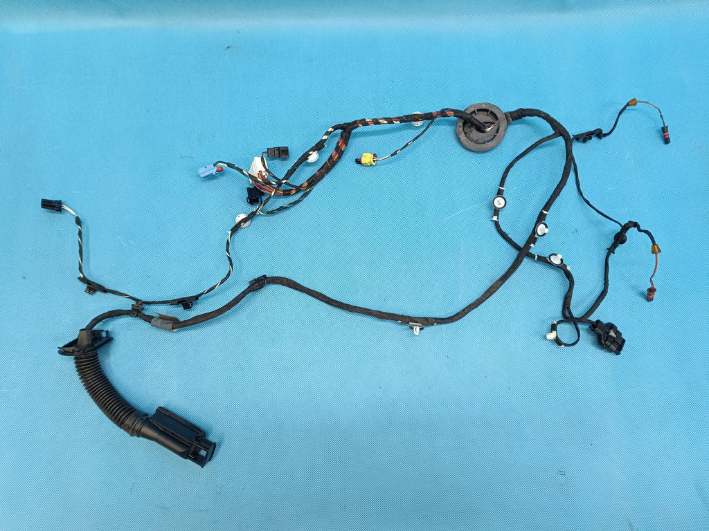 AUDI A4 B9 Sedan LIFT 2.0 TFSI 2023 R DOOR HARNESS RIGHT FRONT 8W0971030CS