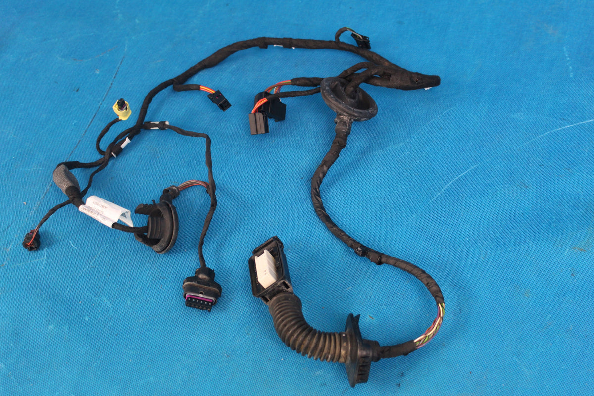 AUDI A6 C7 LIFT DOOR HARNESS FRONT RIGHT 2016R 4G5971030DK KD5