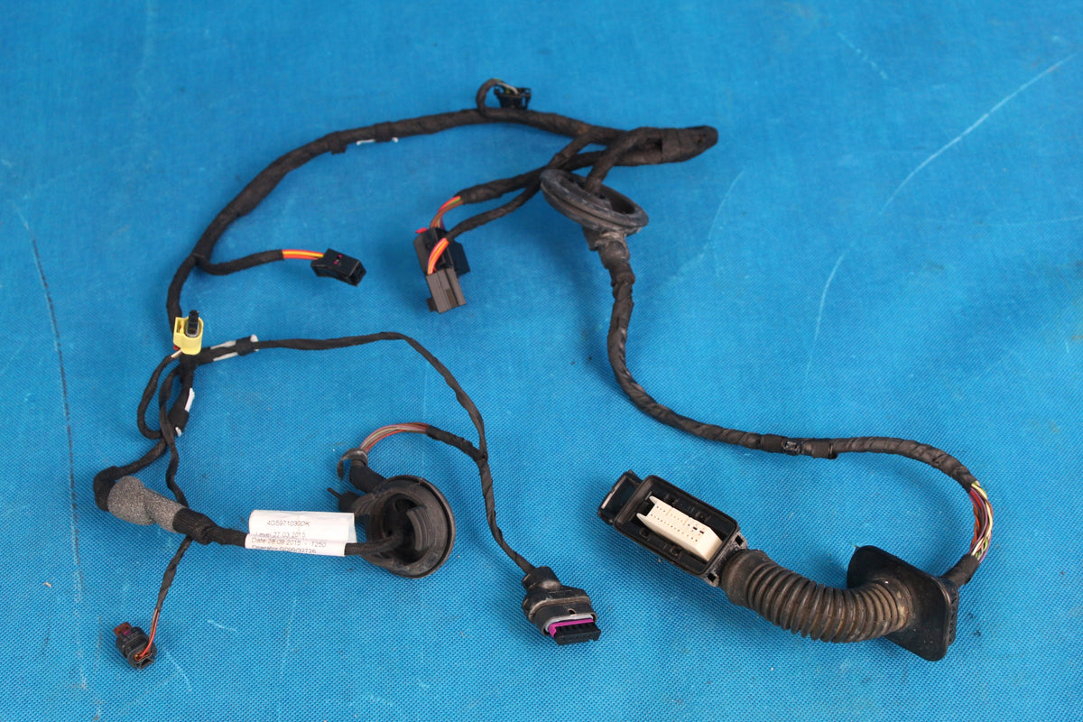 AUDI A6 C7 LIFT DOOR HARNESS FRONT RIGHT 2016R 4G5971030DK KD5