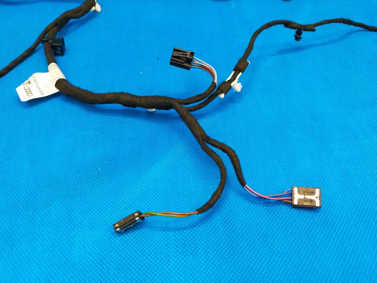 AUDI A6 C8 4K 2023R SEDAN S-LINE DOOR BACON HARNESS LEFT FRONT 4K8971035AK