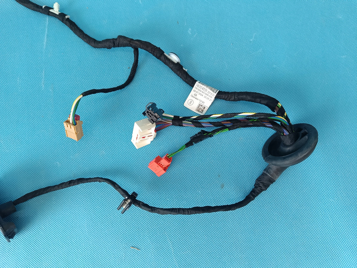 AUDI A6 C8 LIFT AVANT 2,0 TDI 150KW 2025R DOOR HARNESS LEFT REAR 4K5971687AT