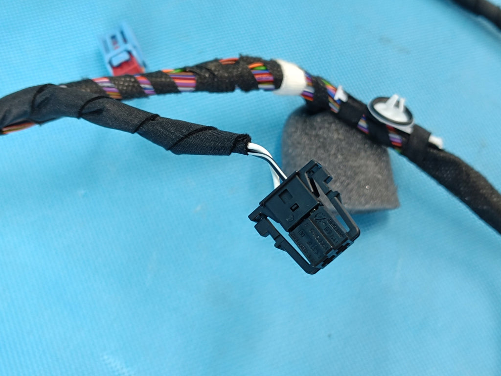 AUDI A6 C9 AVANT 2.0 TDI 150KW 4x4 26R DOOR HARNESS RIGHT FRONT 8B3971030AG