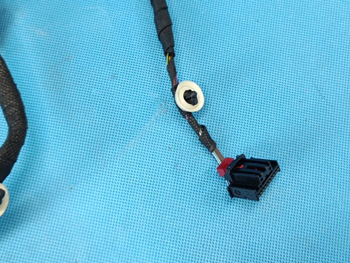 AUDI A6 C9 AVANT 2.0 TDI 150KW 4x4 26R DOOR HARNESS RIGHT FRONT 8B3971030AG