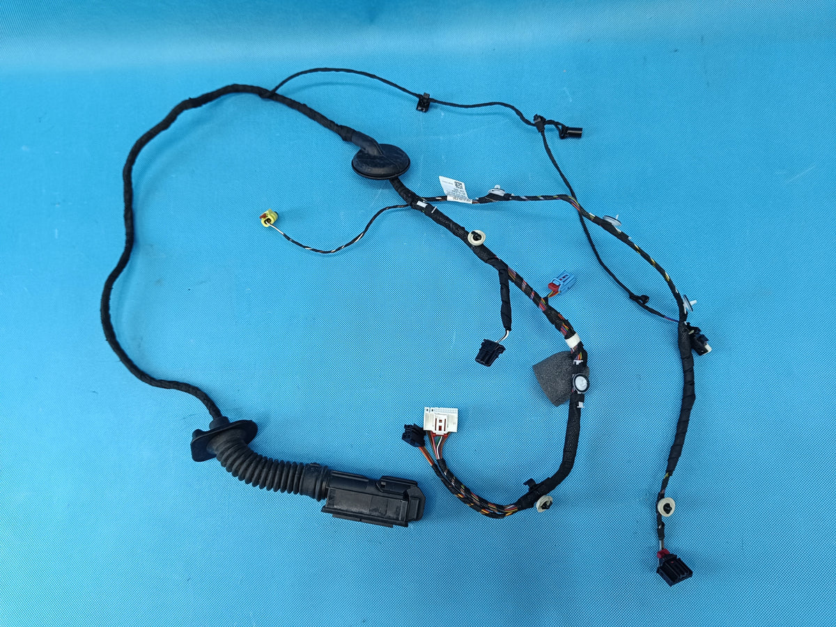 AUDI A6 C9 AVANT 2.0 TDI 150KW 4x4 26R DOOR HARNESS RIGHT FRONT 8B3971030AG