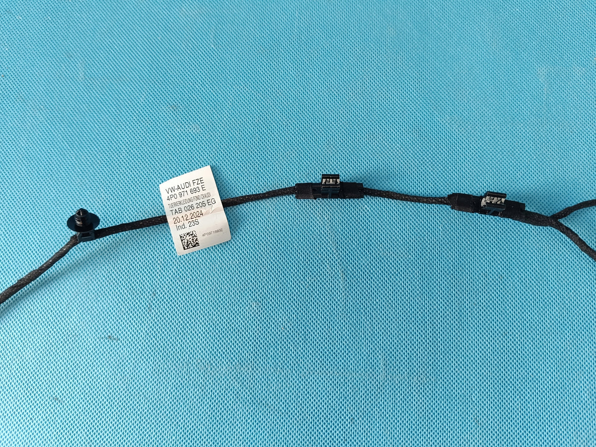 AUDI A6 C9 AVANT 2.0 TDI 4x4 2026 R DOOR BACON HARNESS LEFT REAR 4P0971693E