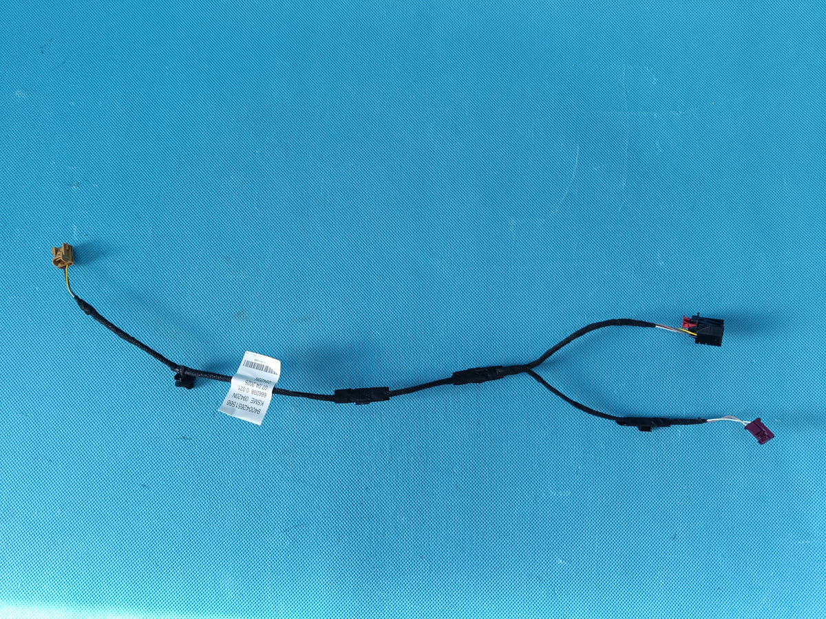 AUDI A6 C9 AVANT 2.0 TDI 4x4 2026 R DOOR BACON HARNESS LEFT REAR 4P0971693E