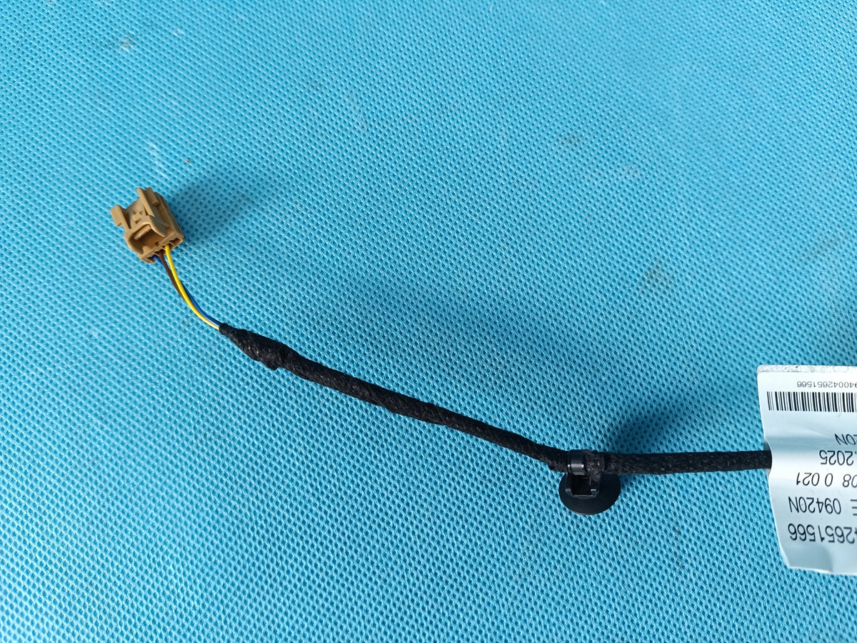 AUDI A6 C9 AVANT 2.0 TDI 4x4 2026 R DOOR BACON HARNESS LEFT REAR 4P0971693E