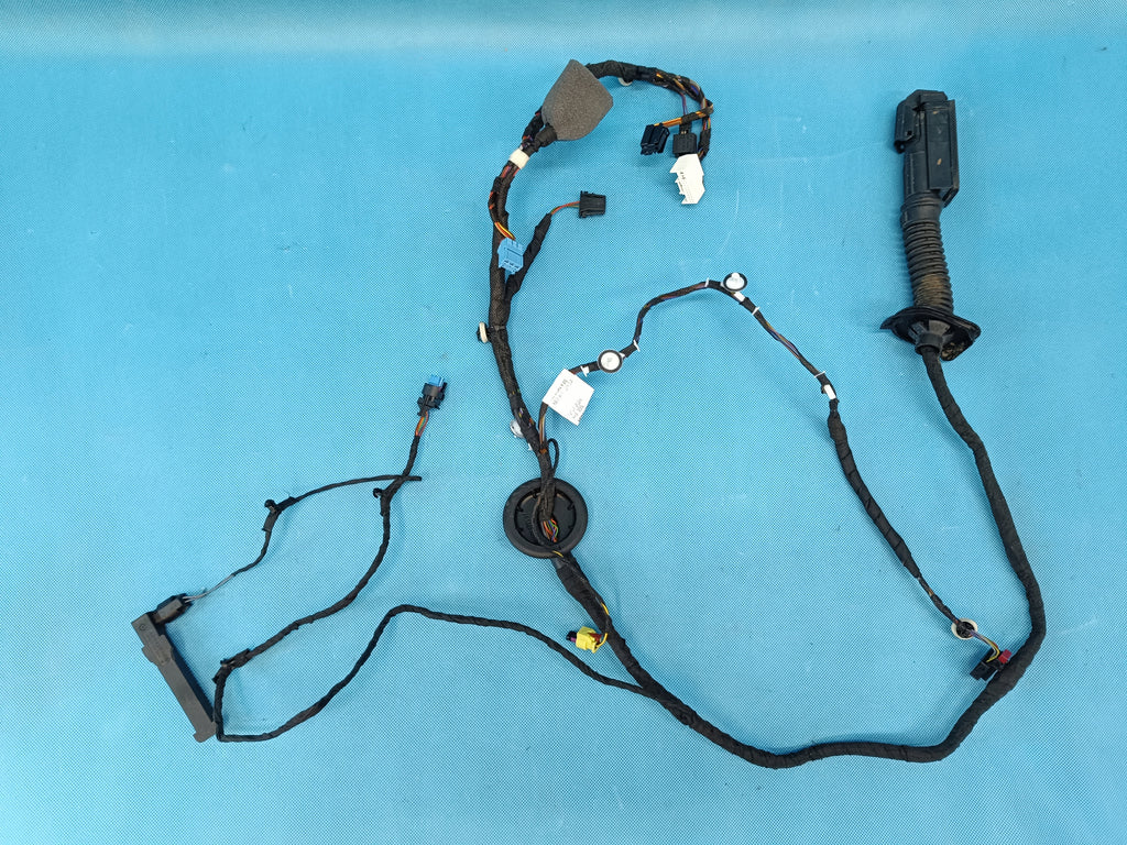 AUDI A6 C9 AVANT 2.0TDI 150KW 4x4 2026R DOOR HARNESS LEFT FRONT 8B3971029BA
