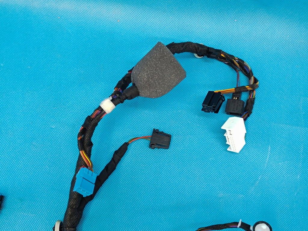 AUDI A6 C9 AVANT 2.0TDI 150KW 4x4 2026R DOOR HARNESS LEFT FRONT 8B3971029BA