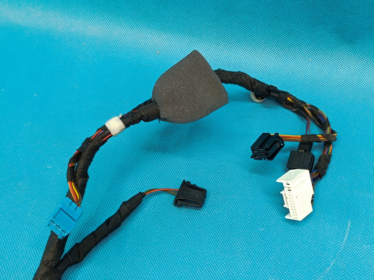 AUDI A6 C9 AVANT 2.0TDI 150KW 4x4 2026R DOOR HARNESS LEFT FRONT 8B3971029BA