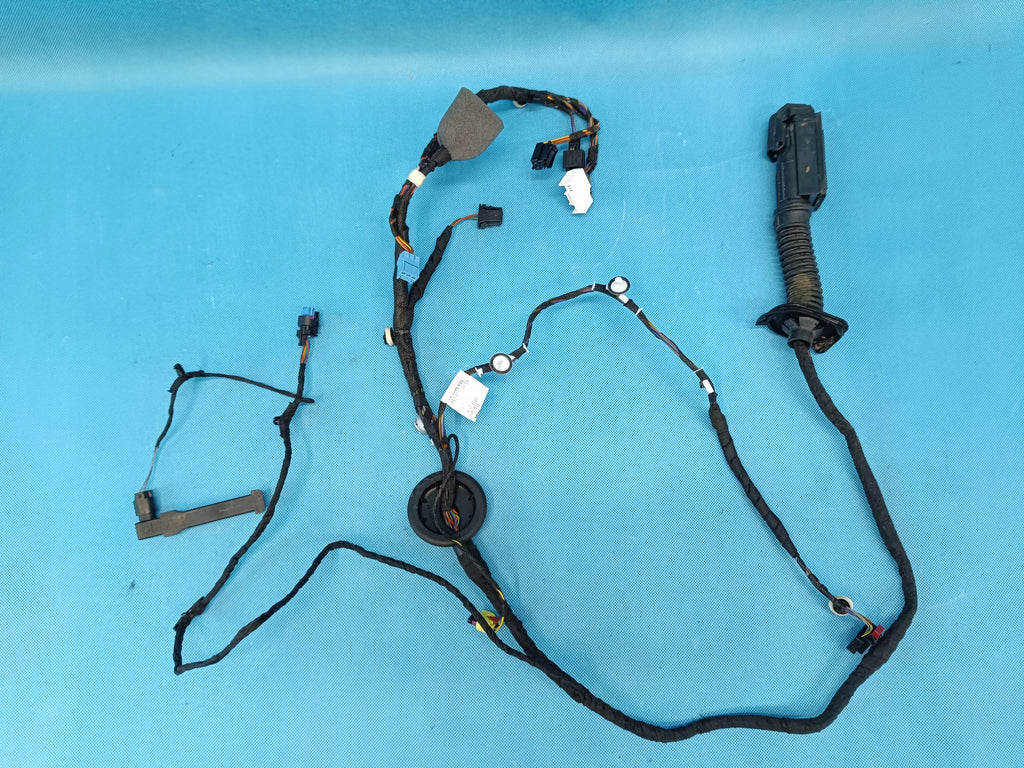 AUDI A6 C9 AVANT 2.0TDI 150KW 4x4 2026R DOOR HARNESS LEFT FRONT 8B3971029BA