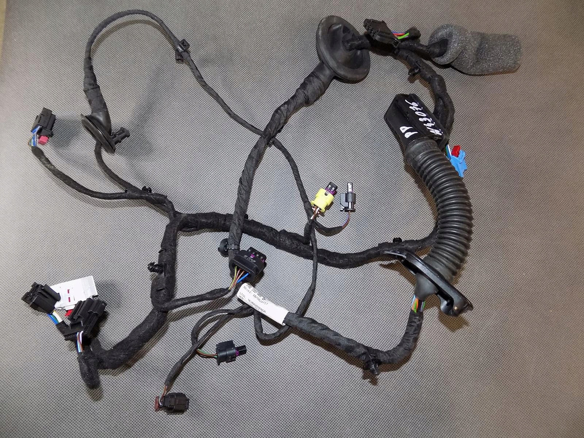 AUDI A8 4N D5 DOOR HARNESS RIGHT FRONT 4N0971030AN