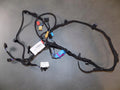 AUDI A8 4N D5 DOOR HARNESS RIGHT FRONT 4N0971036BL
