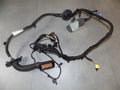 AUDI A8 4N DOOR HARNESS LEFT FRONT 4N0971029Q