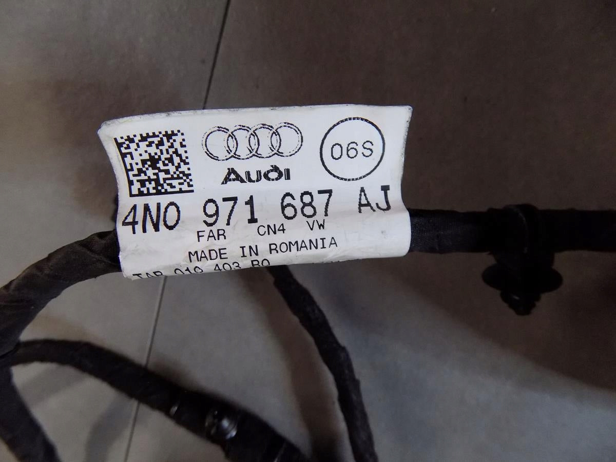 AUDI A8 4N DOOR HARNESS LEFT REAR 4N0971687AJ