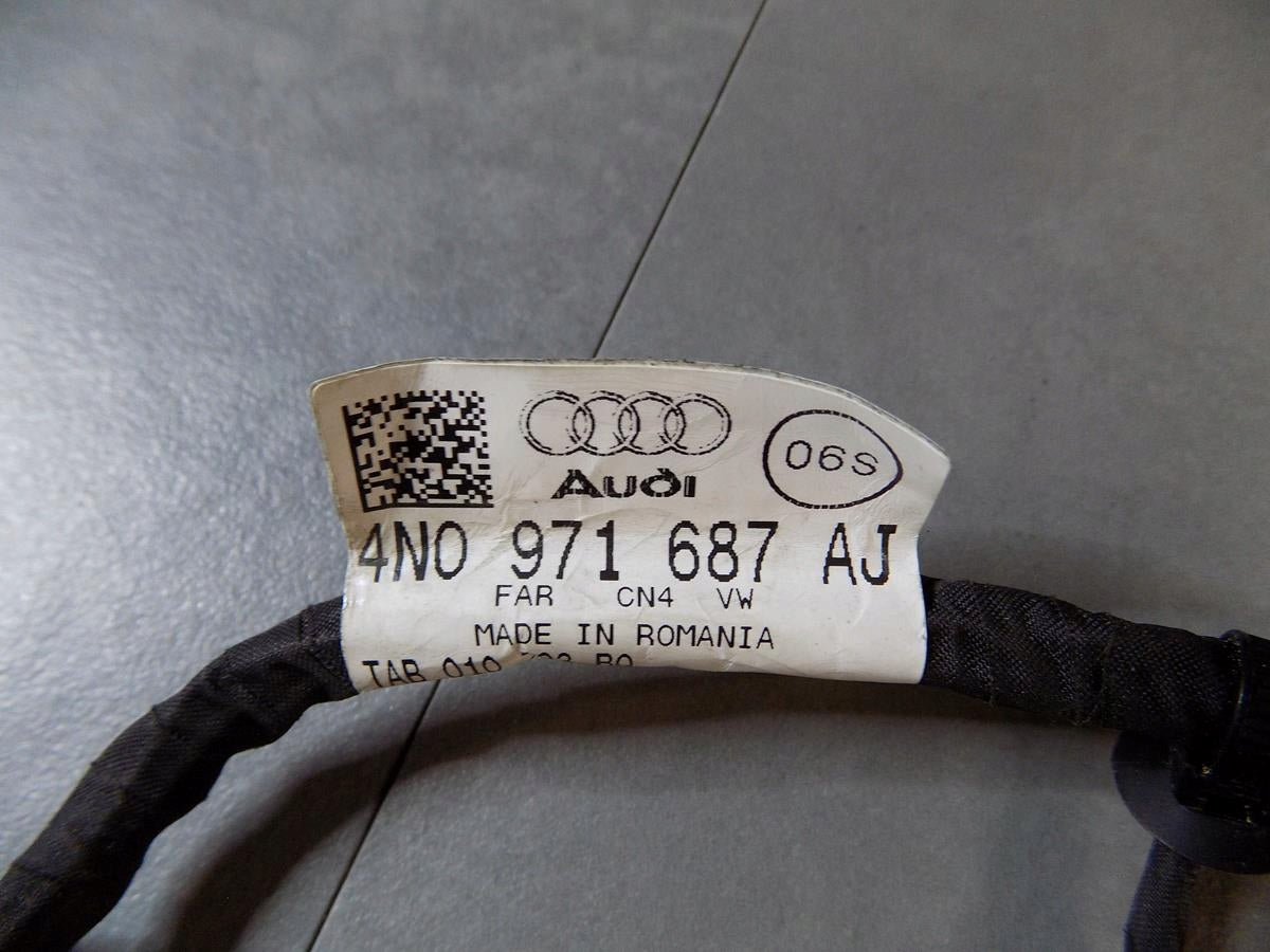 AUDI A8 4N DOOR HARNESS RIGHT REAR 4N0971687AJ