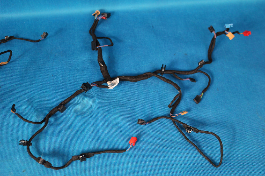 AUDI A8 D5 4N DOOR TRIM HARNESS REAR LEFT RIGHT AMBIENTE 17R 4N0971693KC