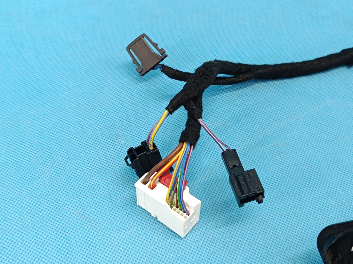 AUDI Q3 F3 SPORTBACK 4x4 2.0 TFSI 2024 R DOOR HARNESS LEFT REAR 83A971687AB
