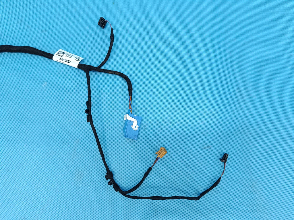 AUDI Q3 F3 SPORTBACK 4x4 2024 R DOOR BACON HARNESS LEFT FRONT 83A971035EJ