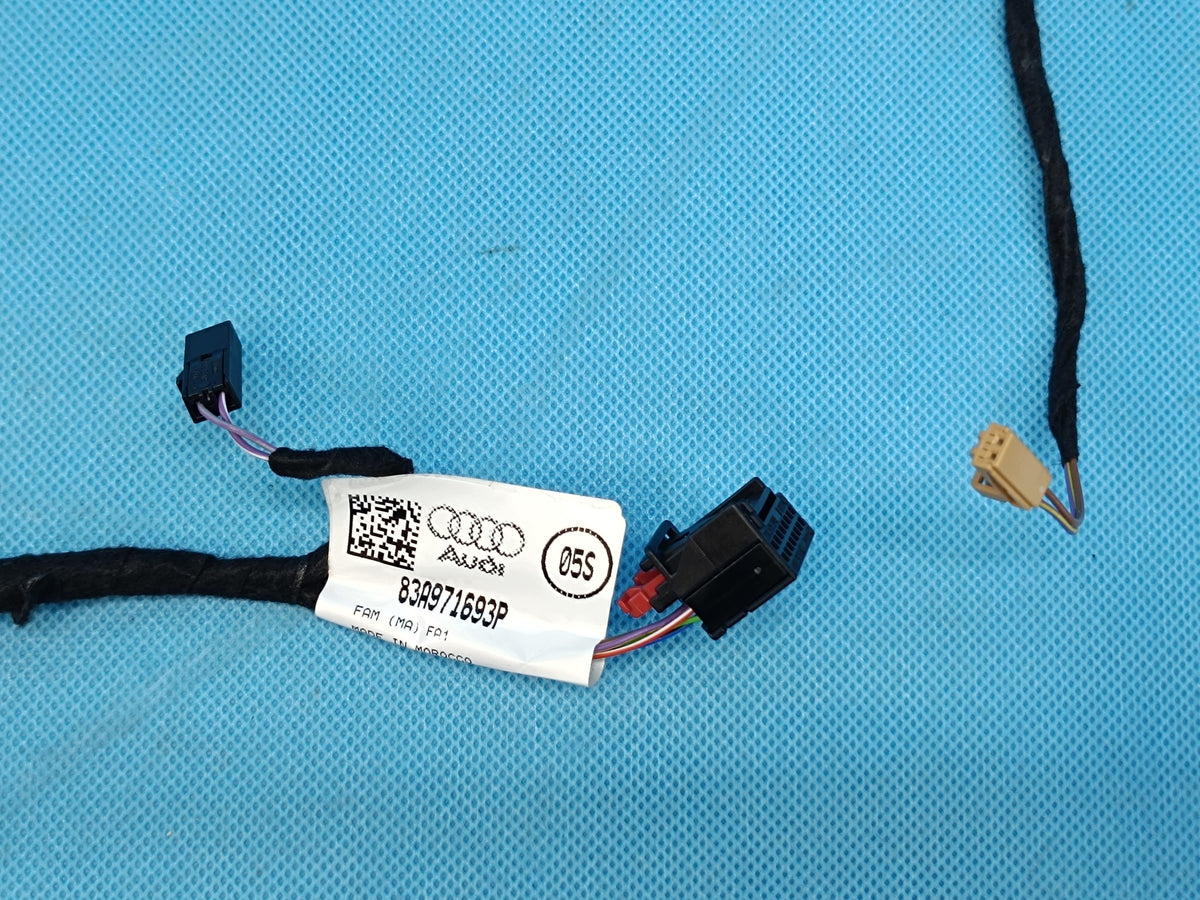 AUDI Q3 F3 SPORTBACK 4x4 2024 R SIDE BUNDLE DOOR LEFT REAR 83A971693P