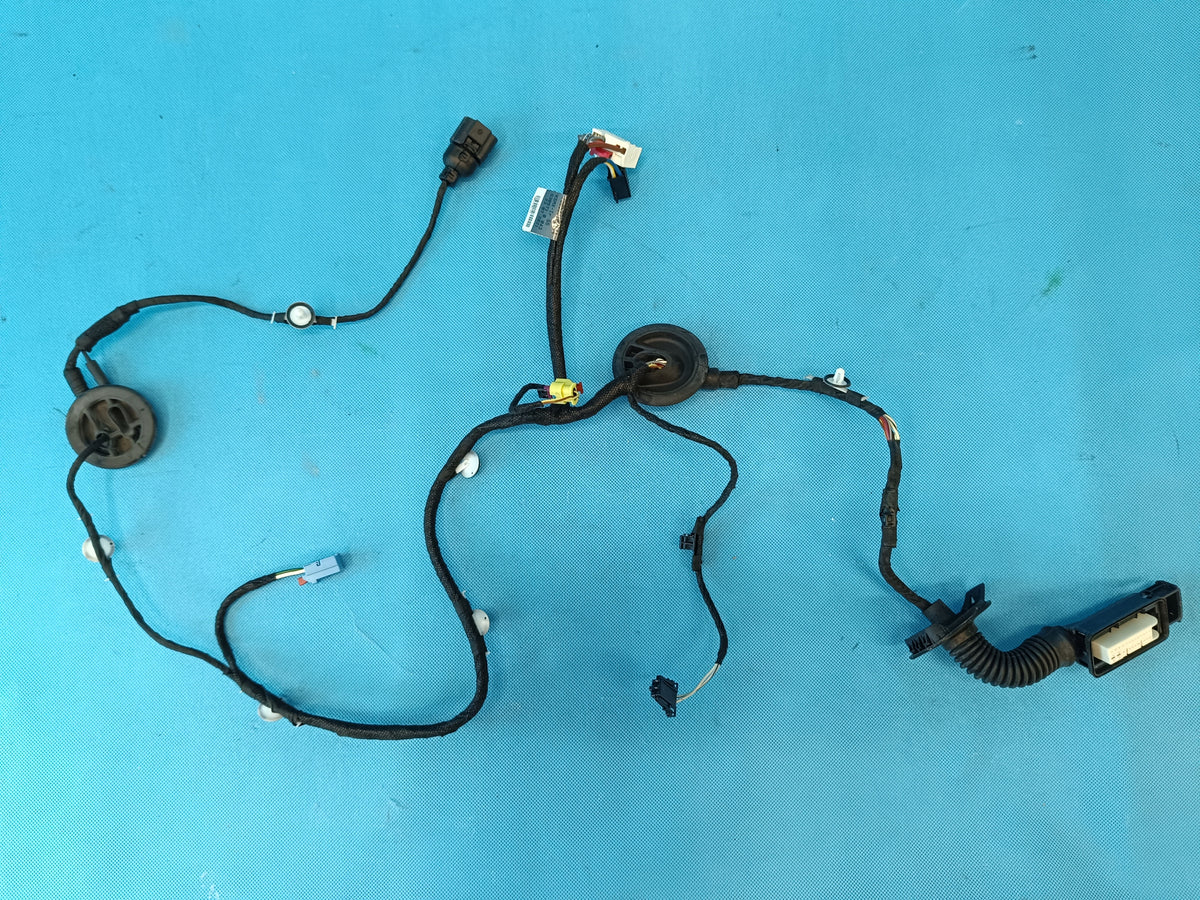 AUDI Q5 FY LIFT 2.0 TDI 150KW 2022 R DOOR HARNESS LEFT FRONT 80A971029
