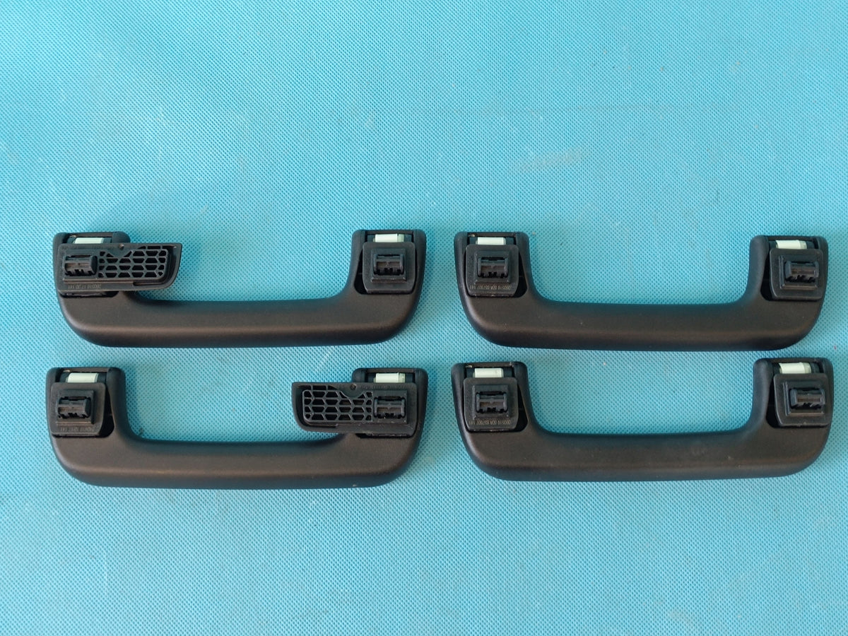 AUDI Q8 E-TRON 55 QUATTRO 2019 R HEADLINER HANDLES FRONT REAR 80A857607 4PK