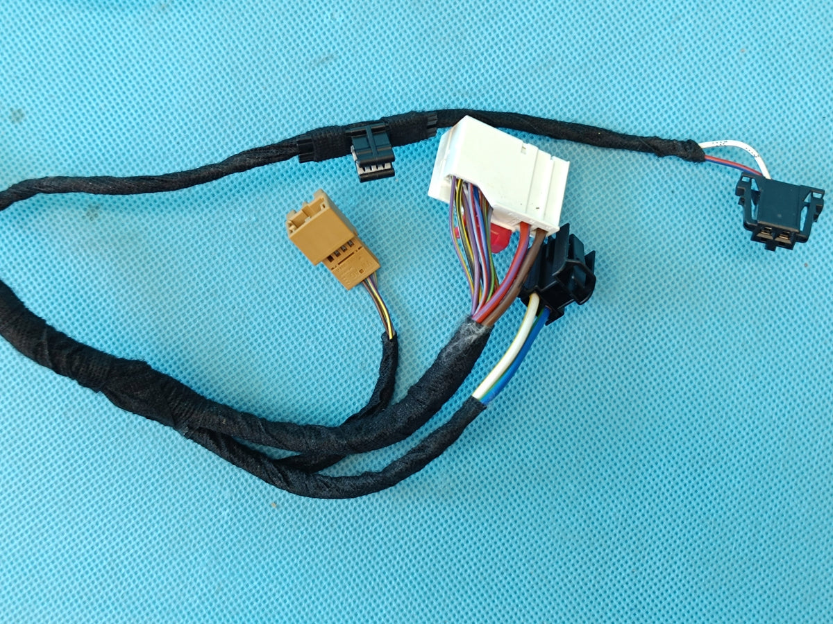 AUDI Q8 E-TRON 55 QUATTRO 300KW 2019 R DOOR HARNESS LEFT FRONT 4KE971029DP