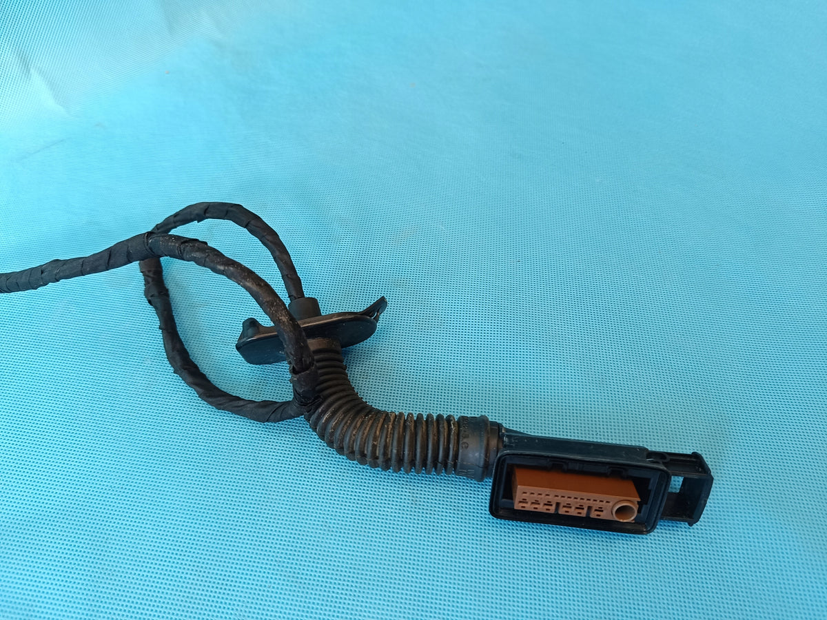 AUDI Q8 E-TRON 55 QUATTRO 300KW 2019 R DOOR HARNESS LEFT FRONT 4KE971029DP