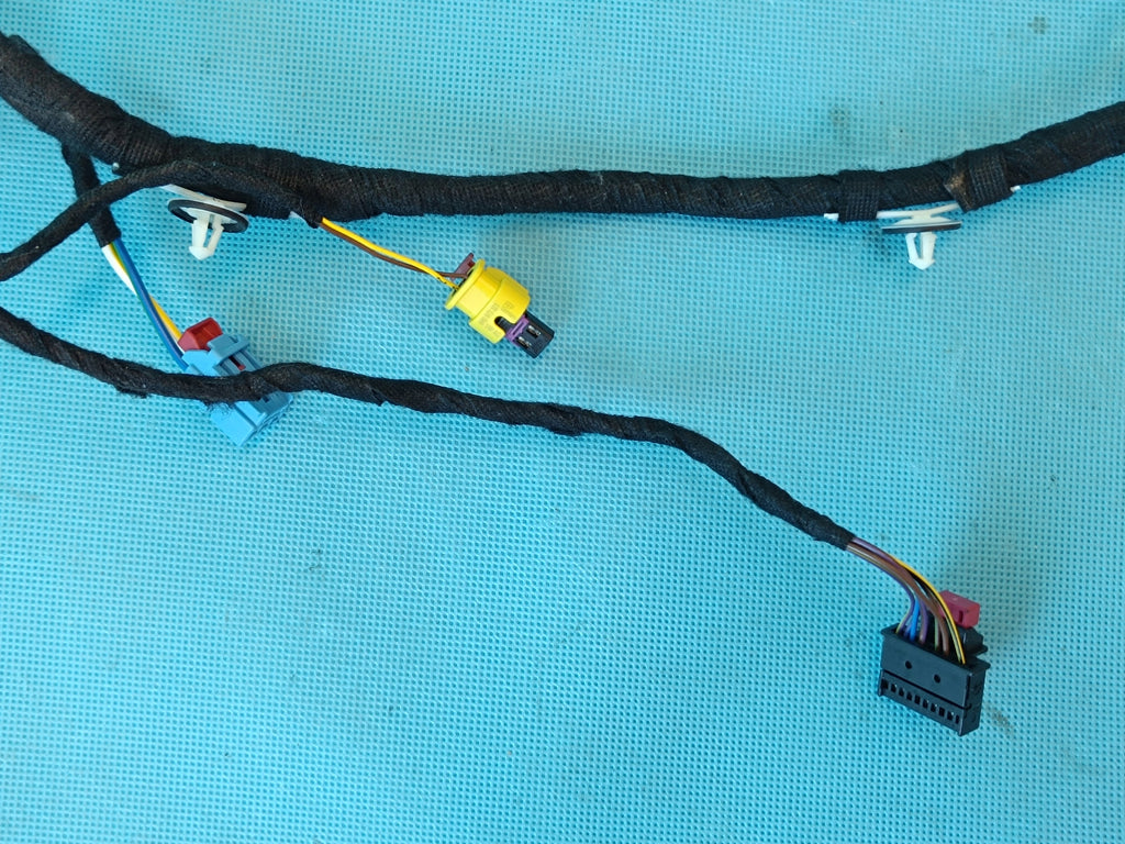 AUDI Q8 E-TRON 55 QUATTRO 300KW 2019 R DOOR HARNESS LEFT FRONT 4KE971029DP