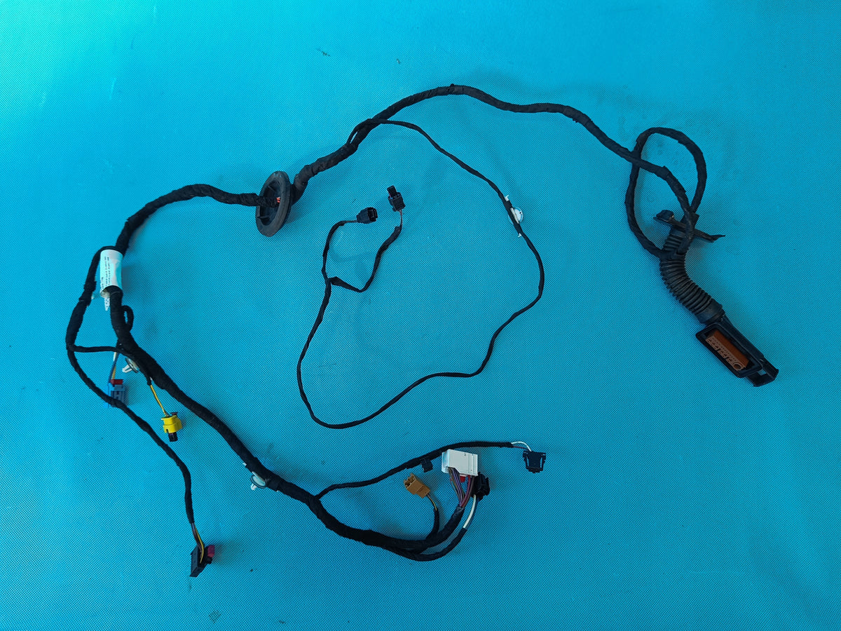 AUDI Q8 E-TRON 55 QUATTRO 300KW 2019 R DOOR HARNESS LEFT FRONT 4KE971029DP