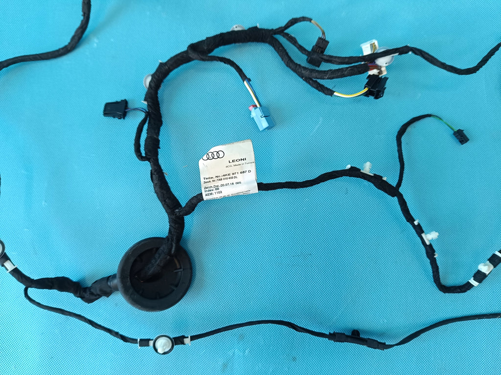 AUDI Q8 E-TRON 55 QUATTRO 300KW 2019 R DOOR HARNESS RIGHT REAR 4KE971687D