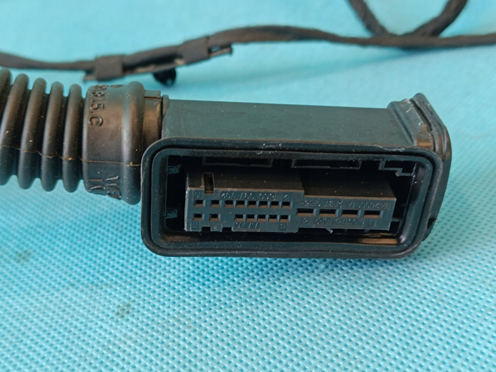 AUDI Q8 E-TRON 55 QUATTRO 300KW 2019 R DOOR HARNESS RIGHT REAR 4KE971687D