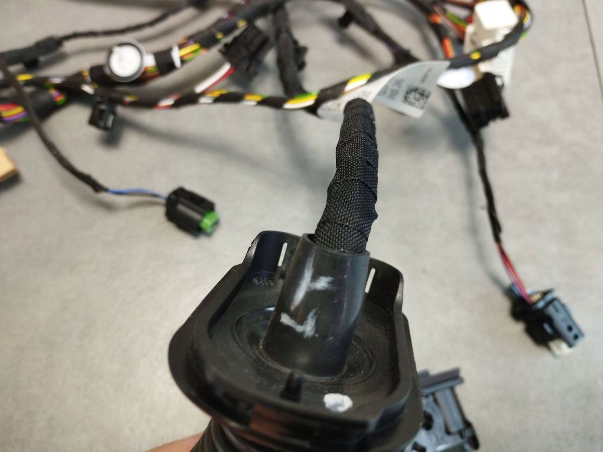 Audi A5 B10 DOOR HARNESS LEFT REAR 8B3971687L