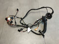 Audi A5 B10 DOOR HARNESS LEFT REAR 8B3971687L