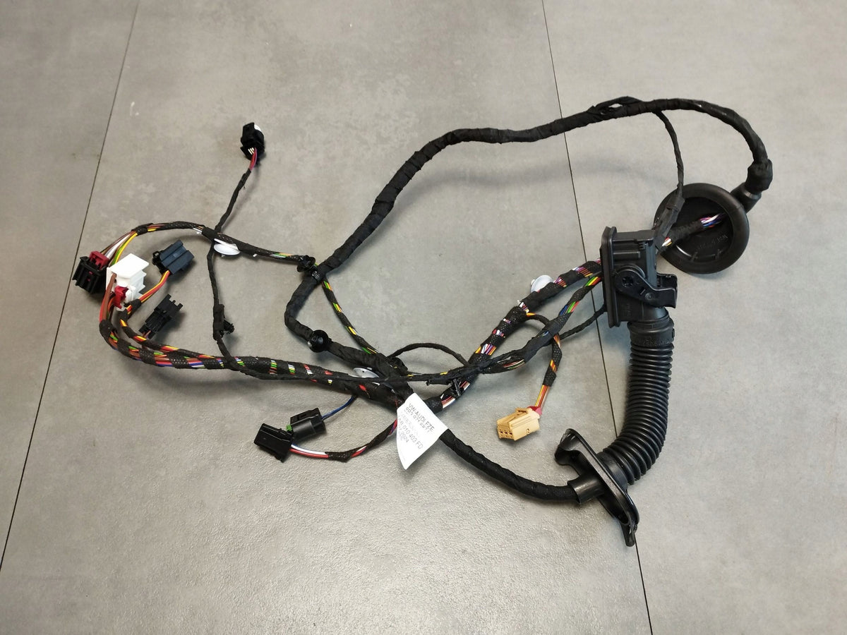 Audi A5 B10 DOOR HARNESS LEFT REAR 8B3971687L