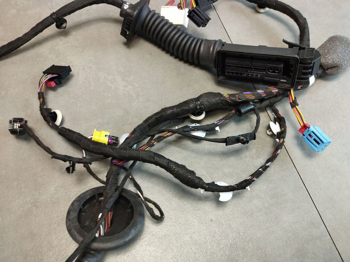 Audi A5 B10 DOOR HARNESS RIGHT FRONT 8B3971030AK