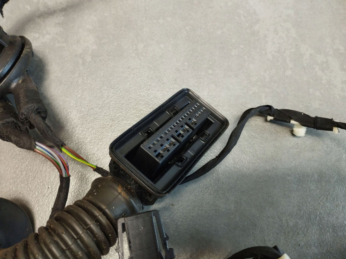 Audi A5 Sportback 8TA DOOR HARNESS LEFT FRONT 8T8971029AT