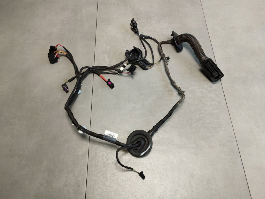 Audi A5 Sportback 8TA DOOR HARNESS RIGHT REAR 8T8971688AA