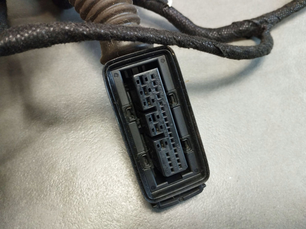 Audi A5 Sportback 8TA Rear Left Door Harness 8T8971687AA