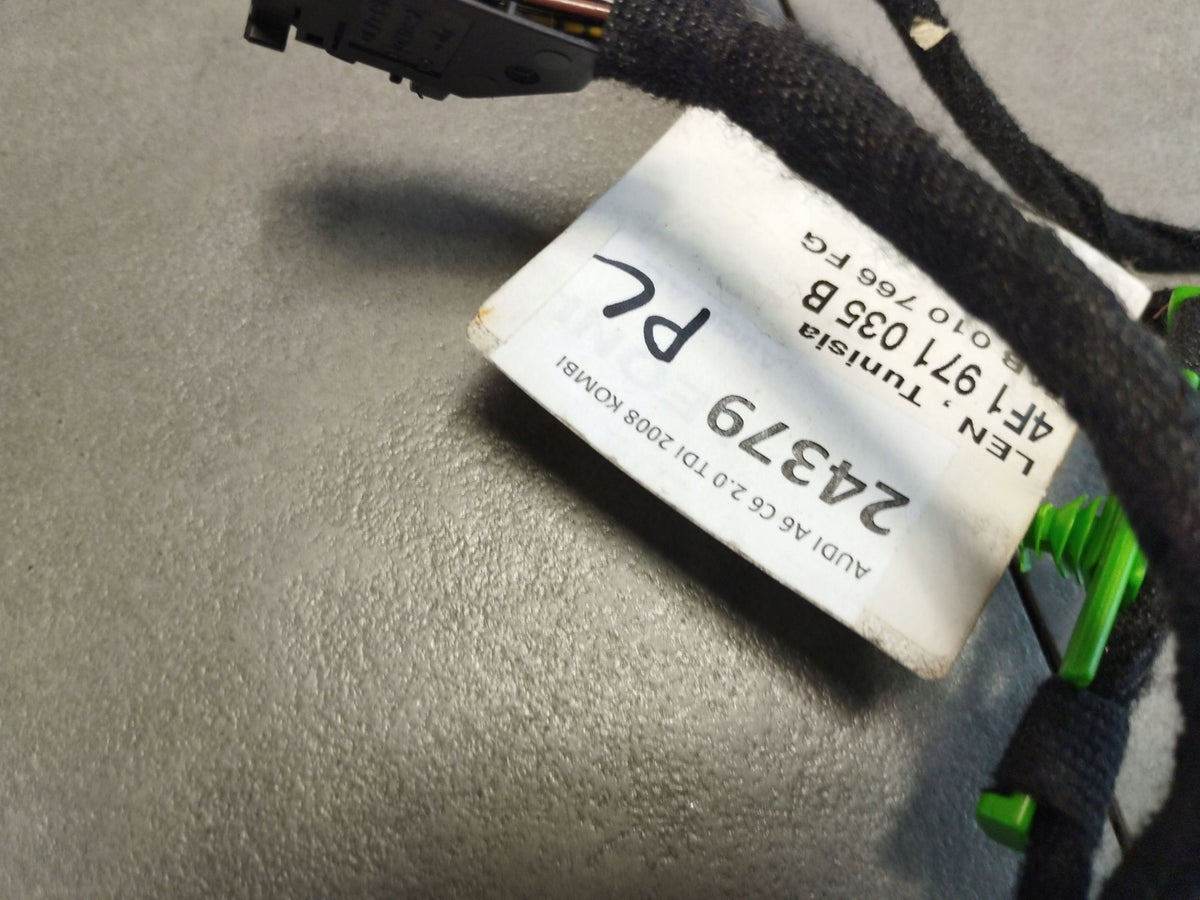Audi A6 S6 C6 4F Upholstery door harness 4F1971035B