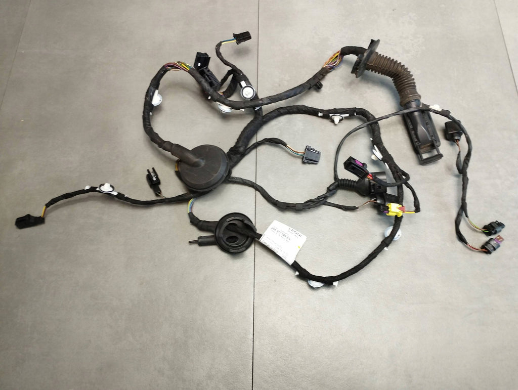 Audi A7 4G 2016 DOOR HARNESS LEFT FRONT 4G8971029EN