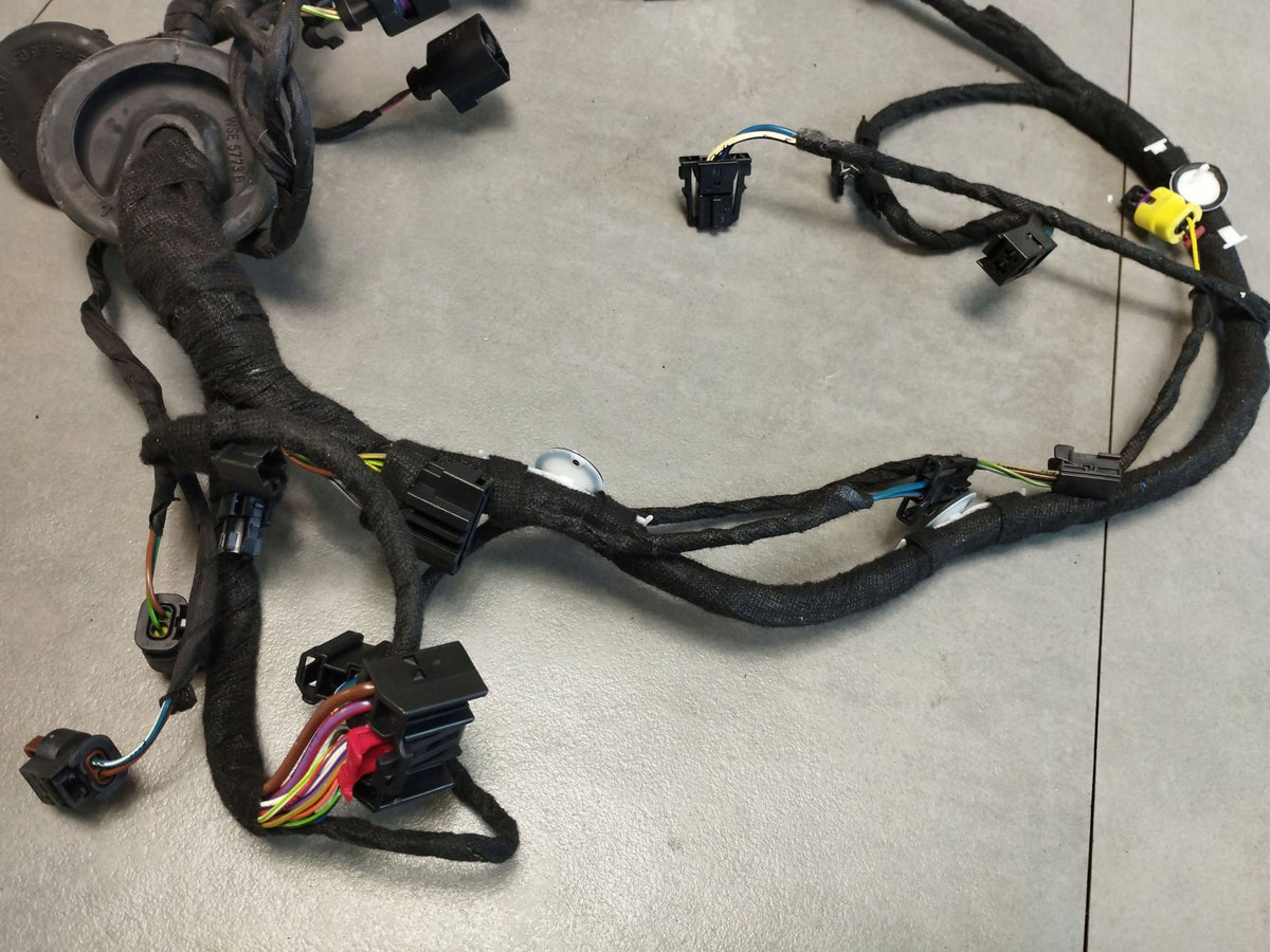 Audi A8 D4 4H DOOR HARNESS LEFT FRONT 4H0971029MQ